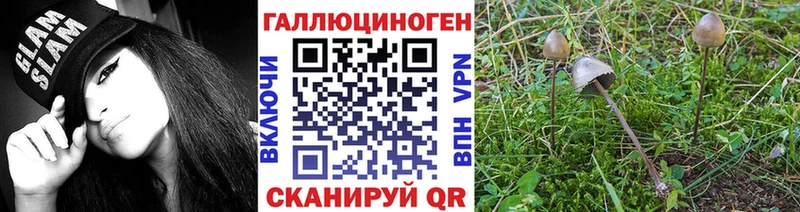 хочу наркоту  Гремячинск  Галлюциногенные грибы ЛСД 